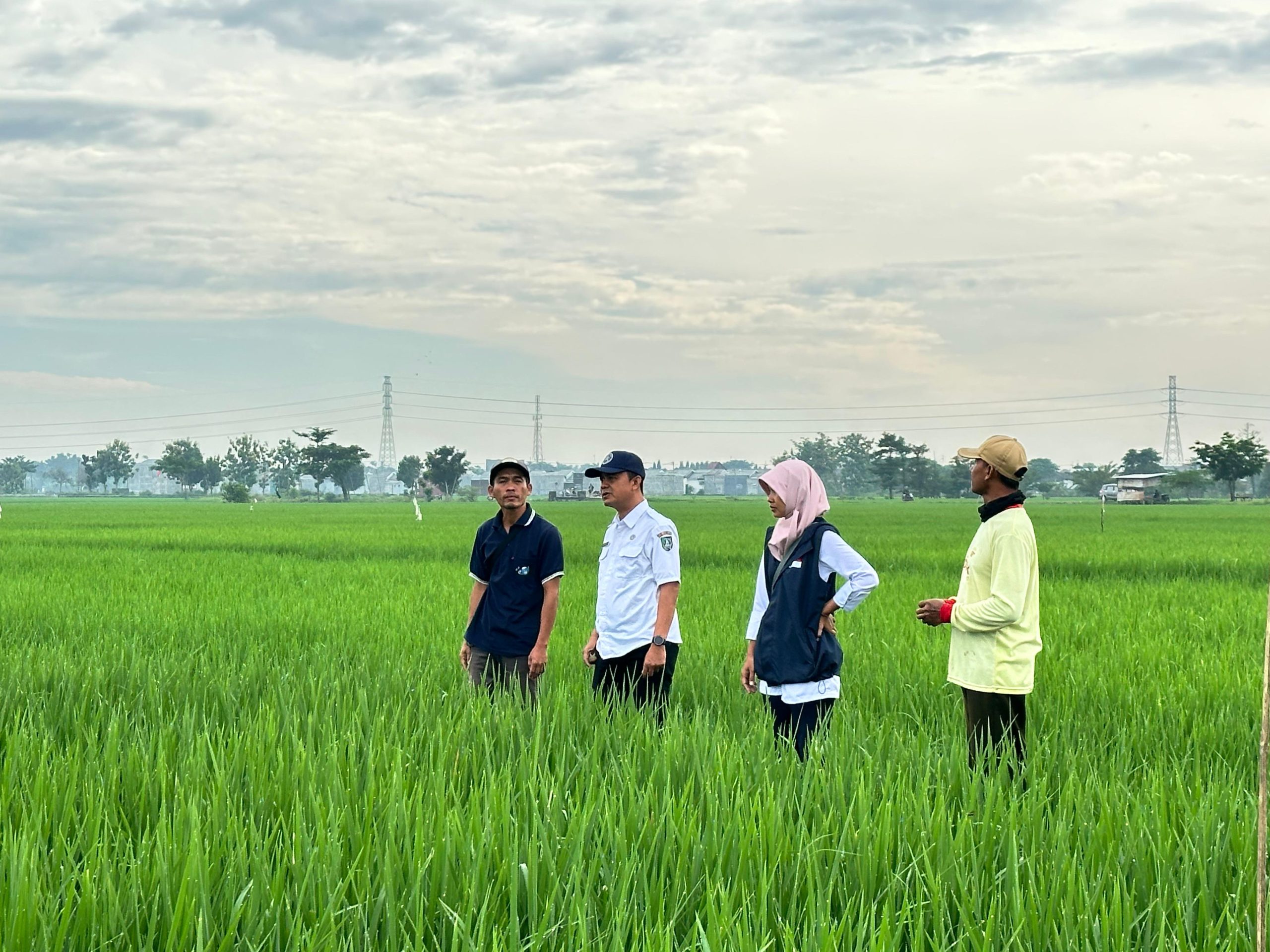 
					MEMBANGUN PERTANIAN RAHMATAN LIL ALAMIN MENDUKUNG SWASEMBADA PANGAN BERKELANJUTAN