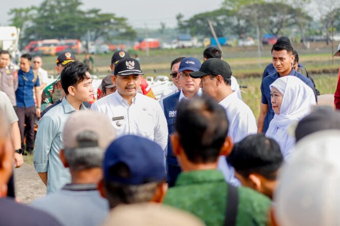 
					Dampingi Wapres RI  Tanam Padi Dan Tinjau Pabrik Beras di Ngawi, Gubernur Khofifah Tunjukkan Keunggulan Produktivitas Padi Ngawi