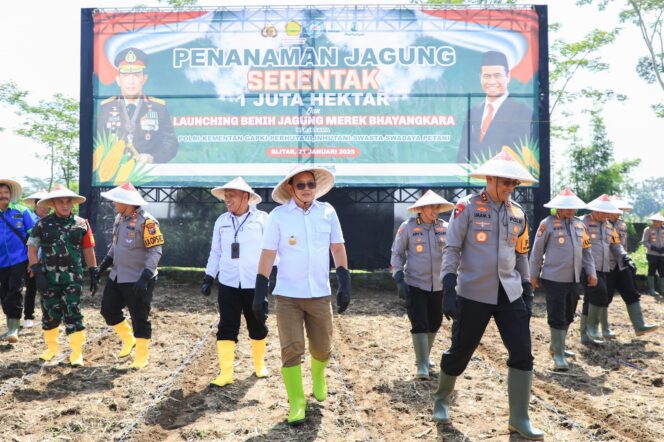 
Pj. Gubernur Adhy Bersama Polda Jatim Tanam Jagung Serentak di Kabupaten Blitar, Dukung Terwujudnya Swasembada Pangan Nasional