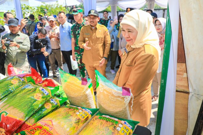 
Panen Raya Serentak Nasional oleh Presiden RI di 14 Provinsi, Gubernur Khofifah bersama 37 Kabupaten/Kota Siap Menjaga Jatim Sebagai Lumbung Pangan Nasional