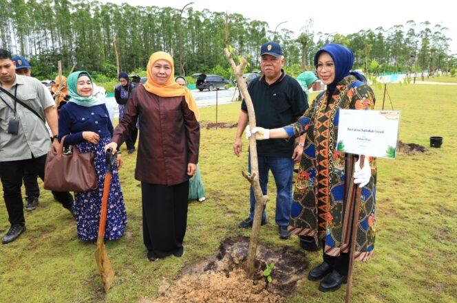 
Gubernur Khofifah Tanam Pohon Maja di IKN, Tumbuhkan Optimisme dan Sinergi Wujudkan Jatim Gerbang Baru Nusantara