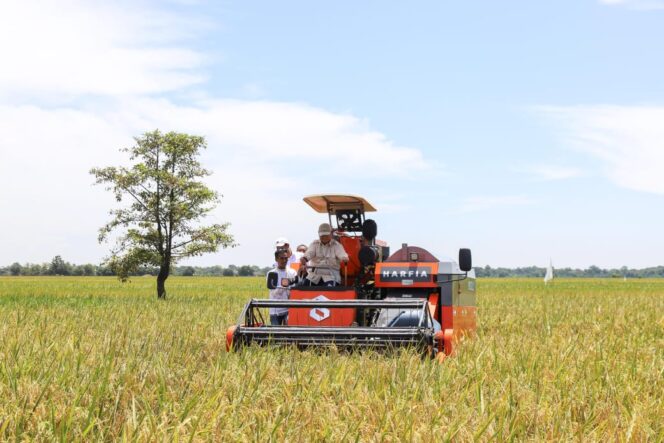 
					Beras Indonesia Bakal Melimpah, Produksi Tertinggi di ASEAN