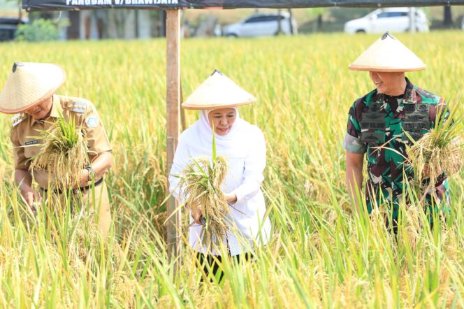 
Apresiasi Kampung Pangan Terpadu Kodim 0812  di Lamongan, Gubernur Khofifah Siap Replikasi Integrated Farming Untuk Wujudkan Kedaulatan Pangan