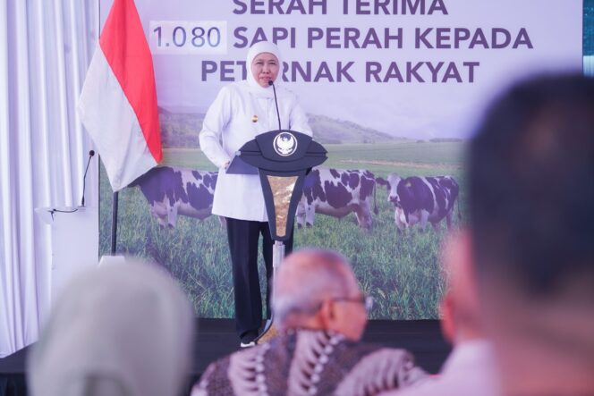 
Sebanyak 1.080 Ekor  Sapi Perah dari Australia Didatangkan di Jatim, Gubernur Khofifah Optimistis Tingkatkan Produksi Susu dan Dorong Pemerataan Ekonomi