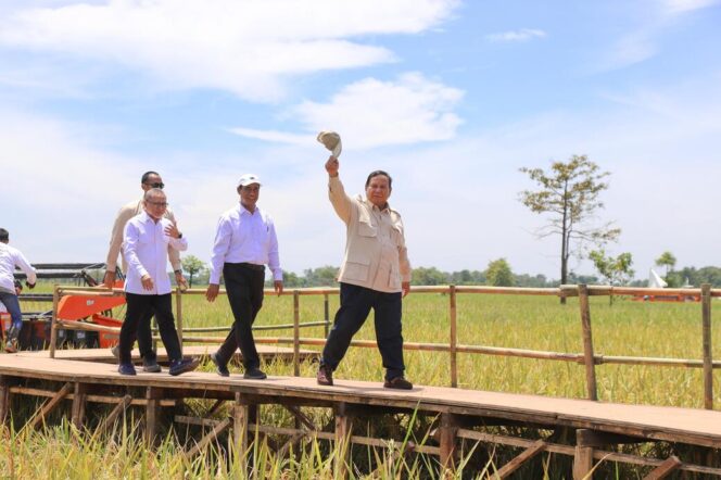 
Januari-Agustus 2025, Produksi Beras Nasional Capai 24,97 Juta Ton