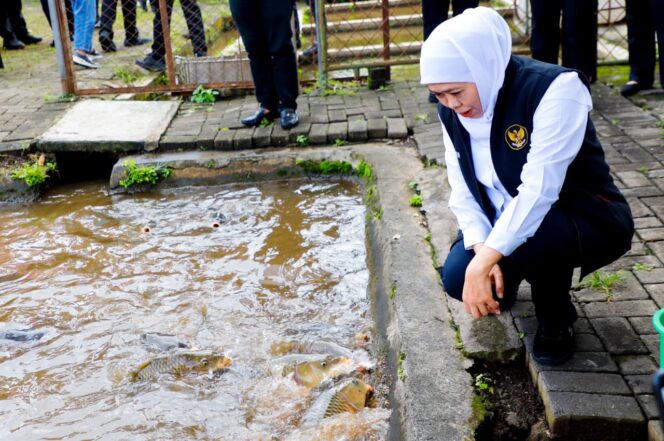 
					Gubernur Khofifah Apresiasi Inovasi Diskanla Jatim, Distribusikan 4 Juta Benih Ikan Mas Punten ke Seluruh Indonesia