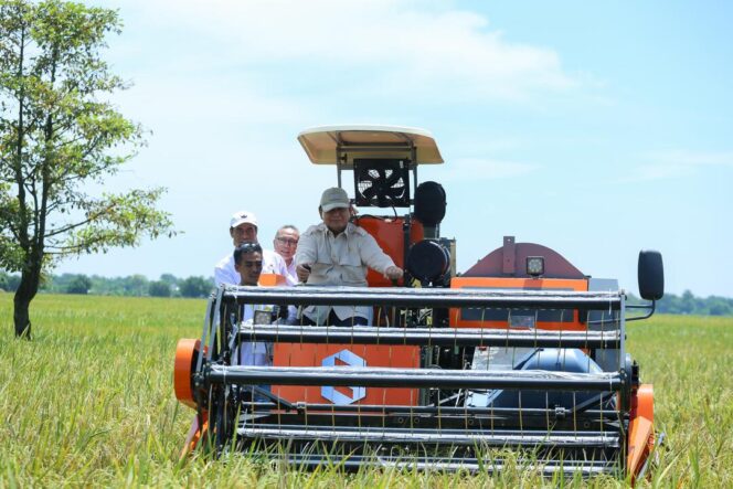 
Setahun Pemerintahan Prabowo-Gibran, Kebijakan Pangan Tunjukkan Hasil Nyata