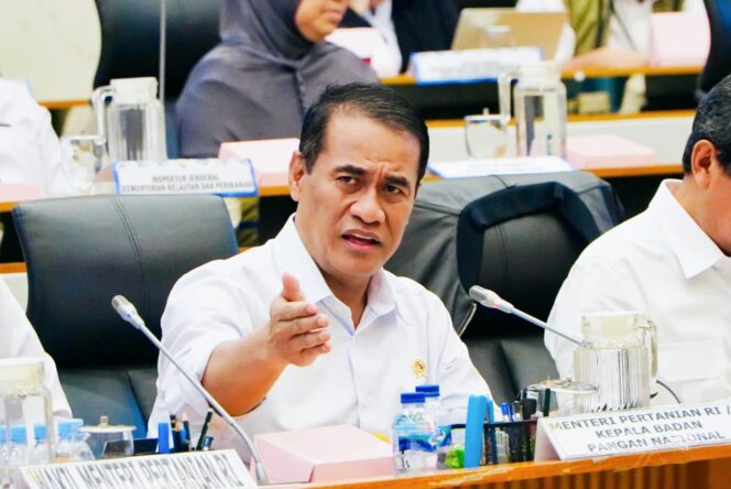 
Serapan Beras Naik Signifikan, Stok Nasional Semakin Aman