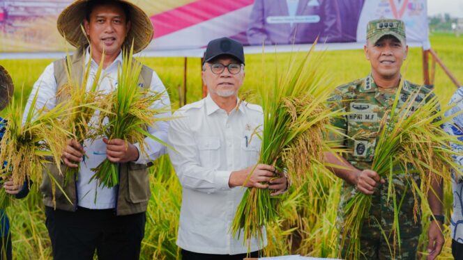 
Menko Pangan Dorong Stabilitas Harga lewat Penyerapan Gabah