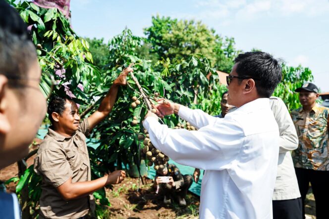 
Kemenko PM Fokus Intervensi Wilayah untuk Tekan Kemiskinan Ekstrem