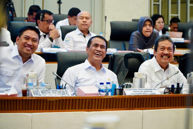 
Neraca Pangan Surplus, Pemerintah Jamin Stabilitas Pasokan