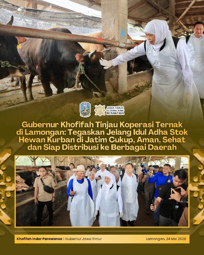 
Tinjau Sentra Peternakan di Lamongan, Gubernur Khofifah Apresiasi Semangat Peternak dan Meningkatnya Penjualan Hewan Kurban Tahun 2026