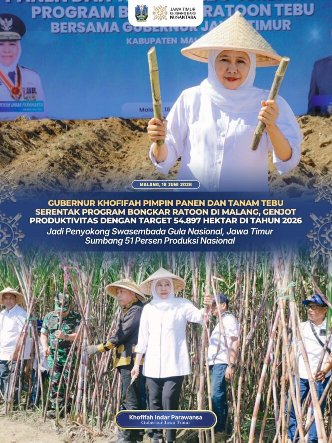 
Jawa Timur Sumbang 51 Persen Produksi Gula Nasional, Gubernur Khofifah Pimpin Gerakan Panen dan Tanam Tebu Serentak di Tujuh Kabupaten