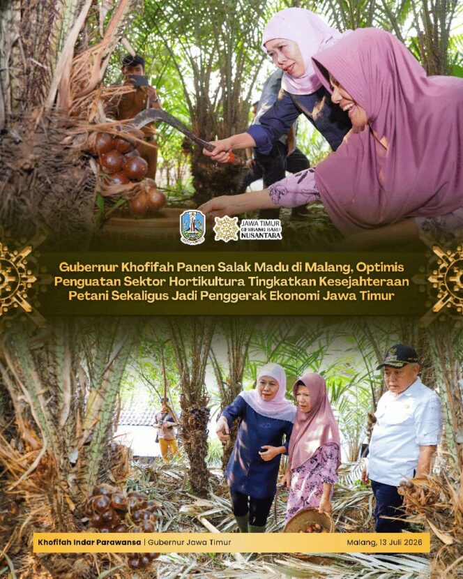 
Gubernur Khofifah Sebut Salak Madu Wonoagung Berpotensi Menjadi Ikon Hortikultura Jawa Timur dengan Prospek Pasar yang Menjanjikan