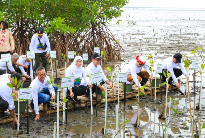 
Kuasai Hampir Separuh Mangrove Jawa, Gubernur Khofifah Minta Momen Hari Mangrove Sedunia Jadi Aksi Nyata Kolaboratif
