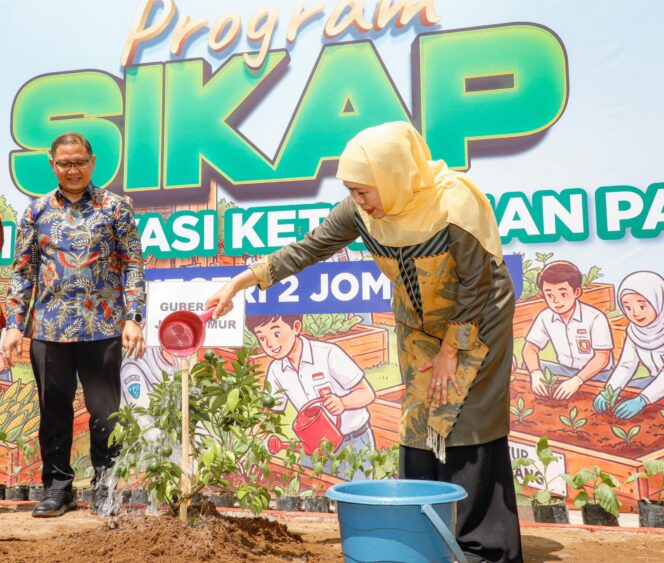 
Gubernur Khofifah Tanam Jeruk Madu dan Panen Hasil Budidaya Siswa, Perkuat Inovasi Ketahanan Pangan di Sekolah